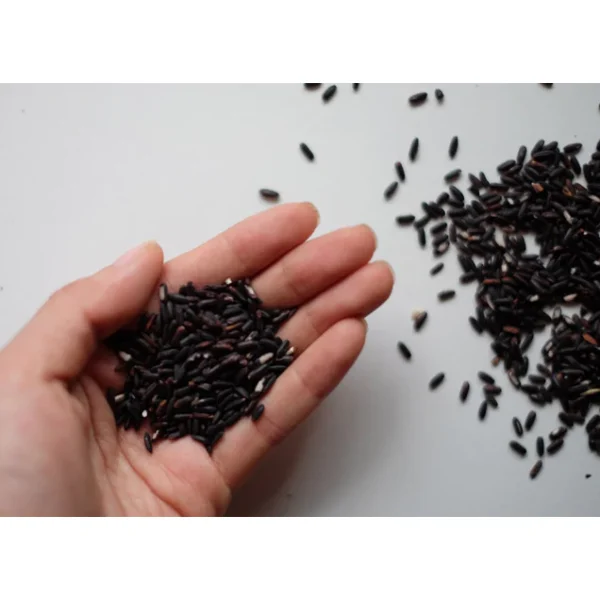 Black Glutinous Rice (Pulut Hitam) 1kg (Black Sticky Rice)