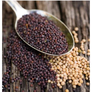 Mustard Seeds/Mustard Seeds (for cooking) 1KG