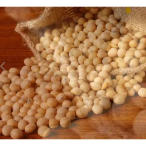 Raw Soya Bean/ Kacang Soya /Soya Bean 1kg
