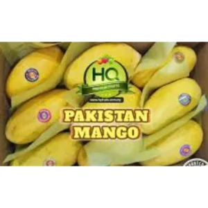 Pakistan Mango Gross Weight 5kg (+-) Fresh Air Flown (while stocks last)
