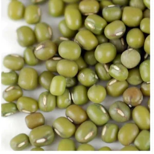 Soybean Green Beans Seeds/ Mung Bean 1 kg